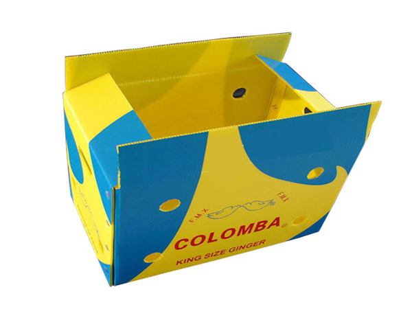 紙箱型中空板周轉箱